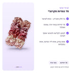 16 גומיות סקרנצ'י – יתרונות